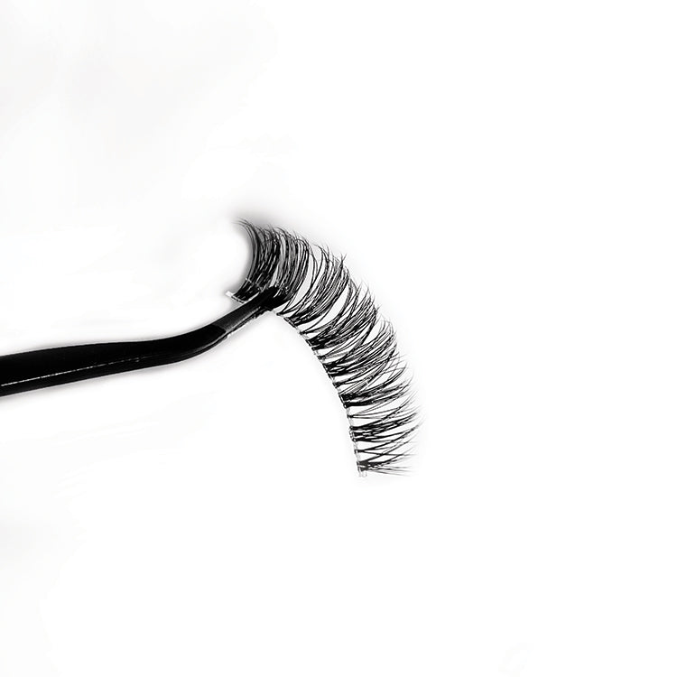 True Beauty Aideen Kate Lashes