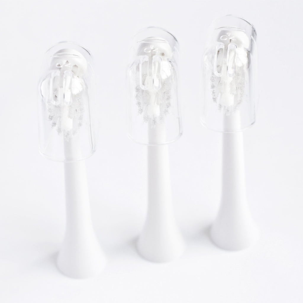 Spotlight Sonic Brush Replacement Heads Spotlight Oral Care